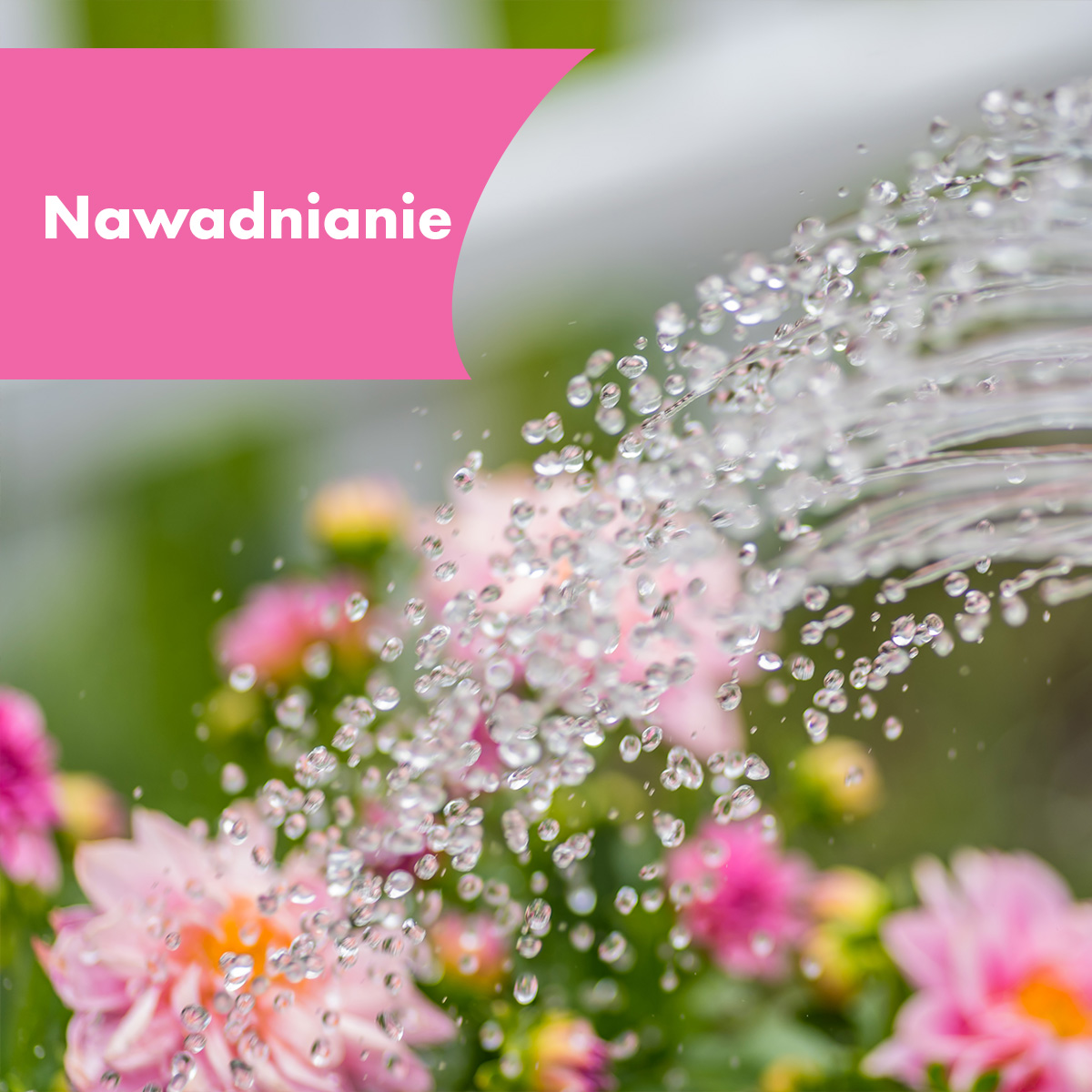 Nawadnianie